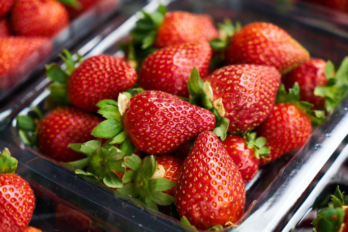 Comment conserver vos fraises sans les ruiner