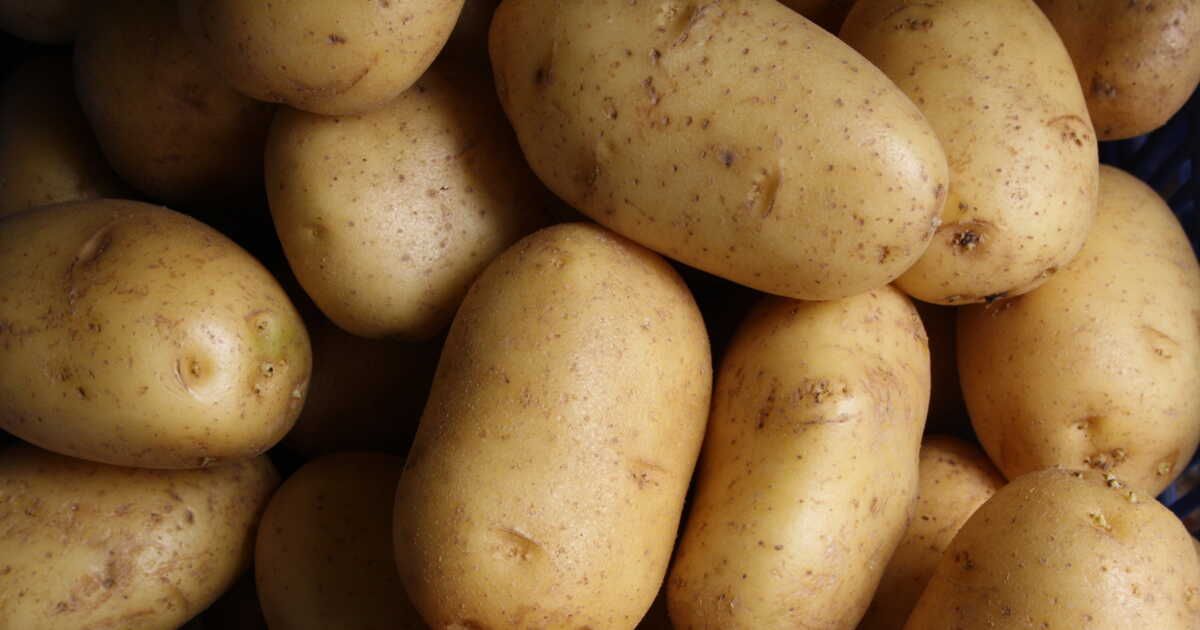 Comment préserver la fraîcheur des pommes de terre : les erreurs à éviter absolument