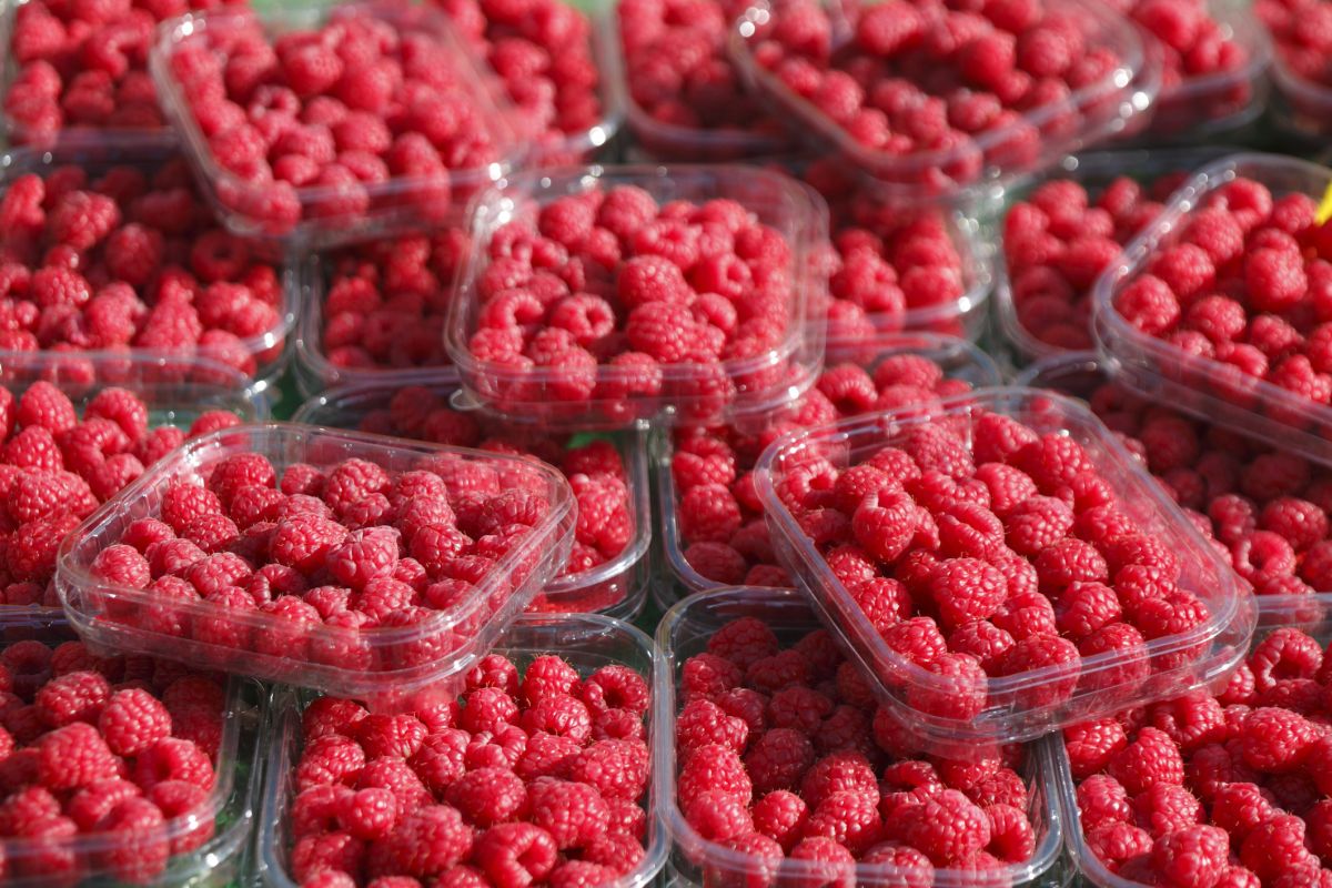 Rappel de framboises surgelées après la détection de norovirus