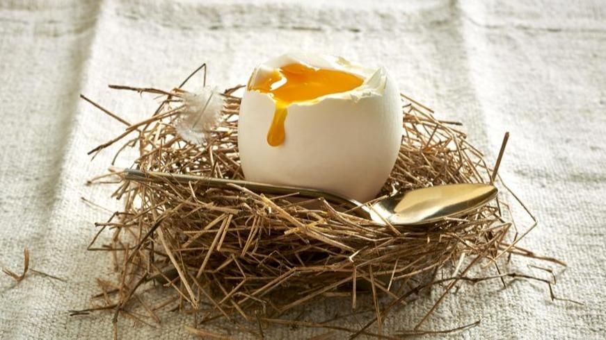 Sublimer l'œuf : astuces et recettes incontournables