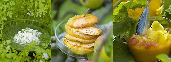 Réveillez votre jardin intérieur avec les tendances de la culture moderne