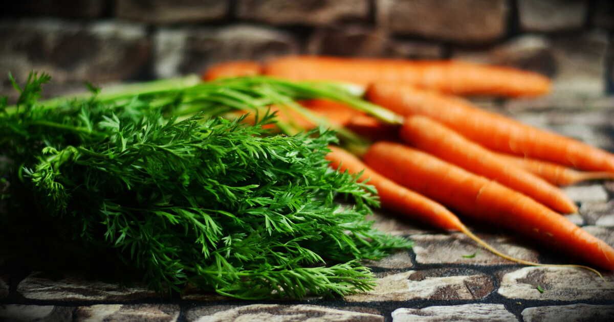 Que faire avec des fanes de carottes ?