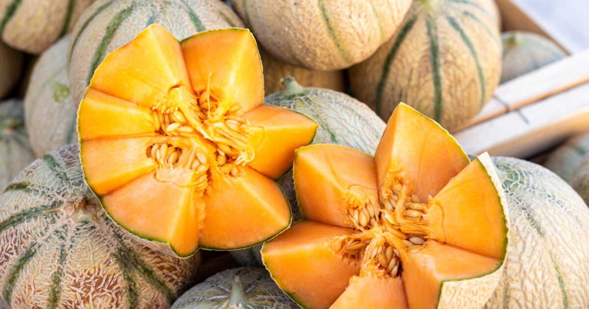 Melon : la méthode idéale pour sa conservation