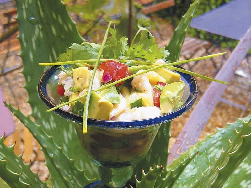 Des tartares et carpaccios frais pour des repas légers