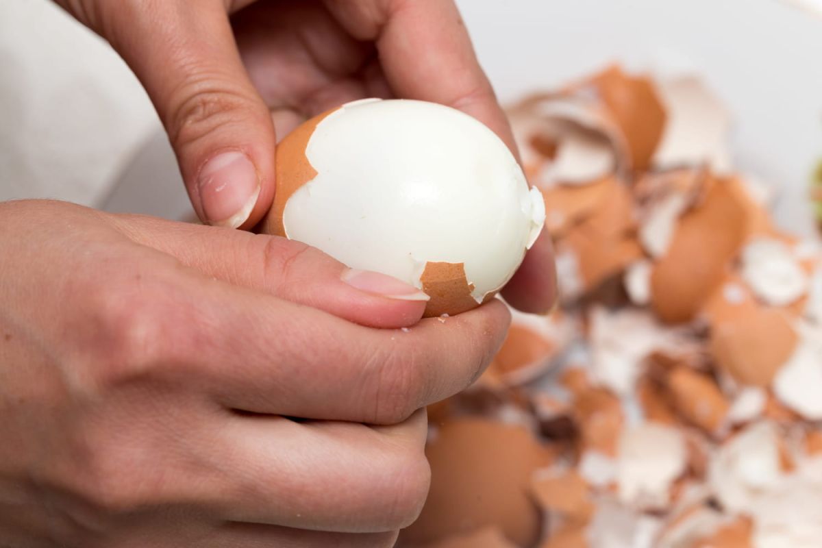 Des astuces infaillibles pour écaler un œuf en un rien de temps