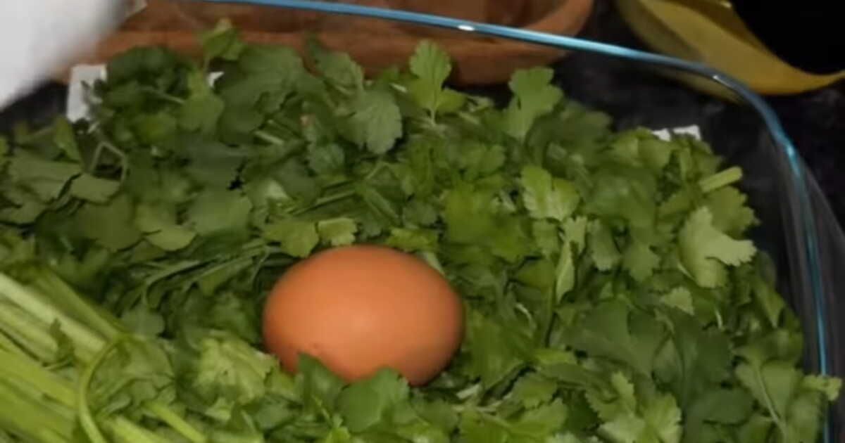 l'astuce infaillible pour garder sa coriandre fraîche plus longtemps