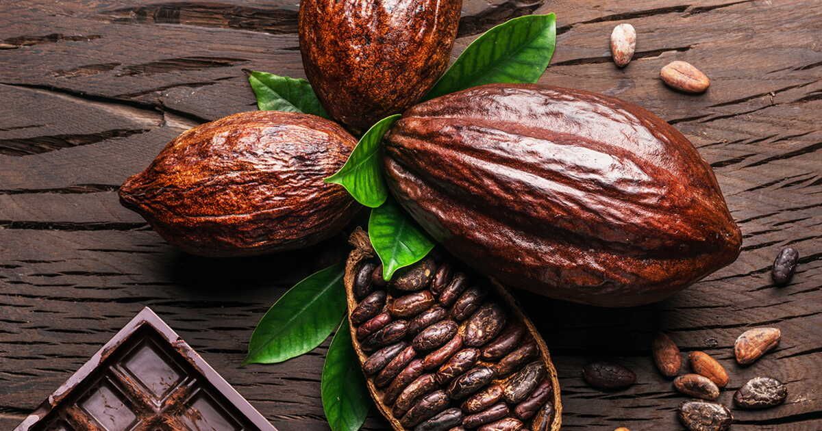 Pâques : savourez le chocolat tout en préservant la planète