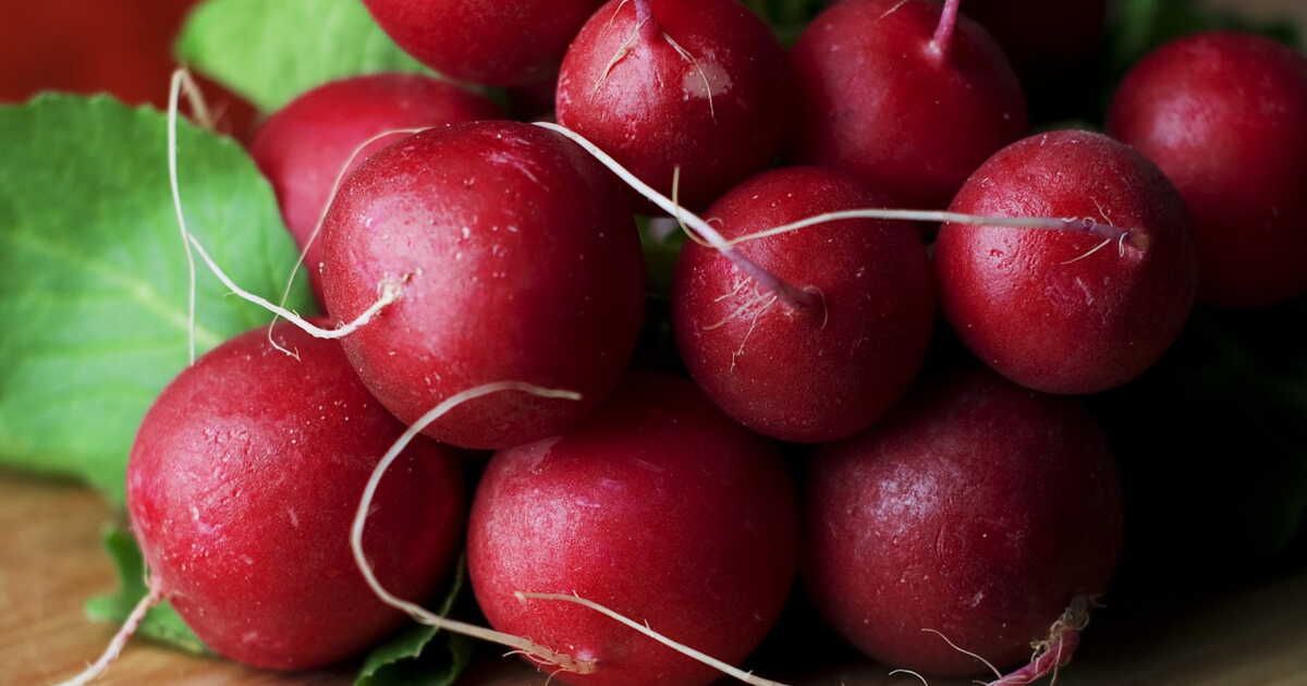 redécouvrez les fanes de radis : 3 recettes savoureuses pour un anti-gaspillage réussi