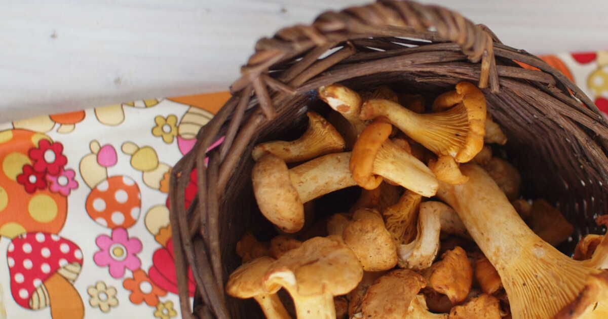 5 recettes surprenantes pour réinventer les champignons