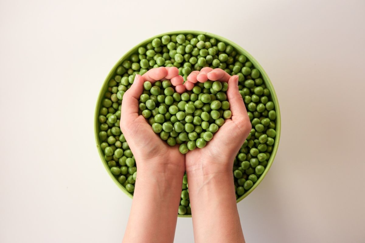Découvrez pourquoi les petits pois surgelés sont le choix santé incontournable