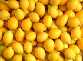 Les bienfaits insoupçonnés du citron : un trésor pour votre santé