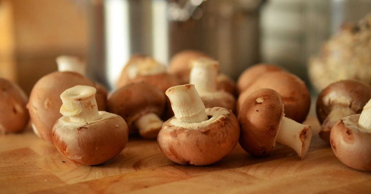 Les secrets pour choisir les meilleurs champignons