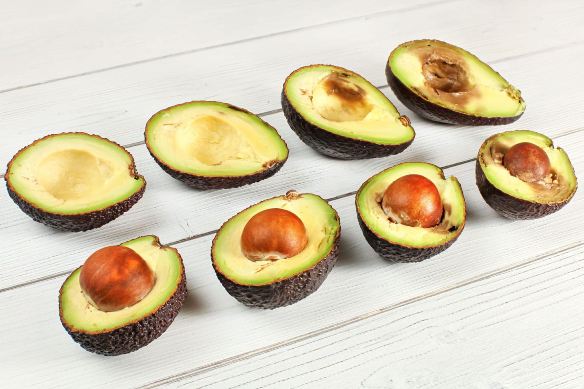 Les secrets pour choisir un avocat à maturité
