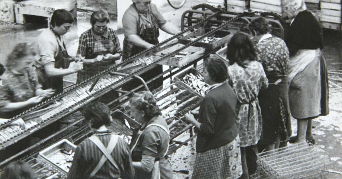 La belle-iloise : une tradition de sardines bretonnes qui perdure