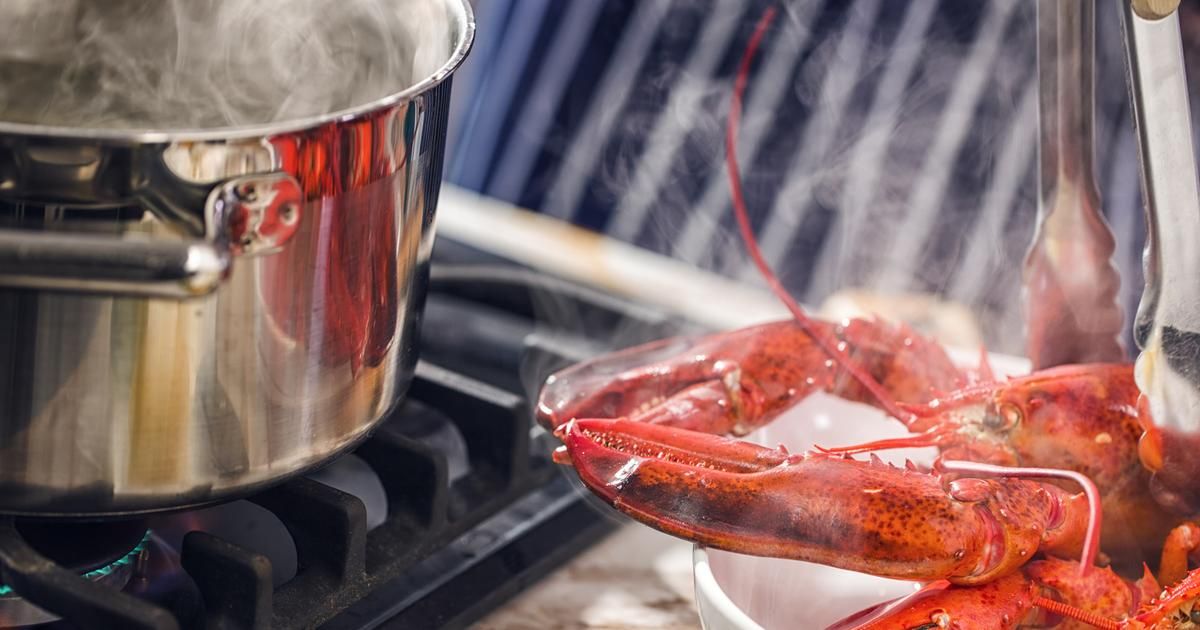 La Suisse dit adieu à l'ébouillantage des homards vivants