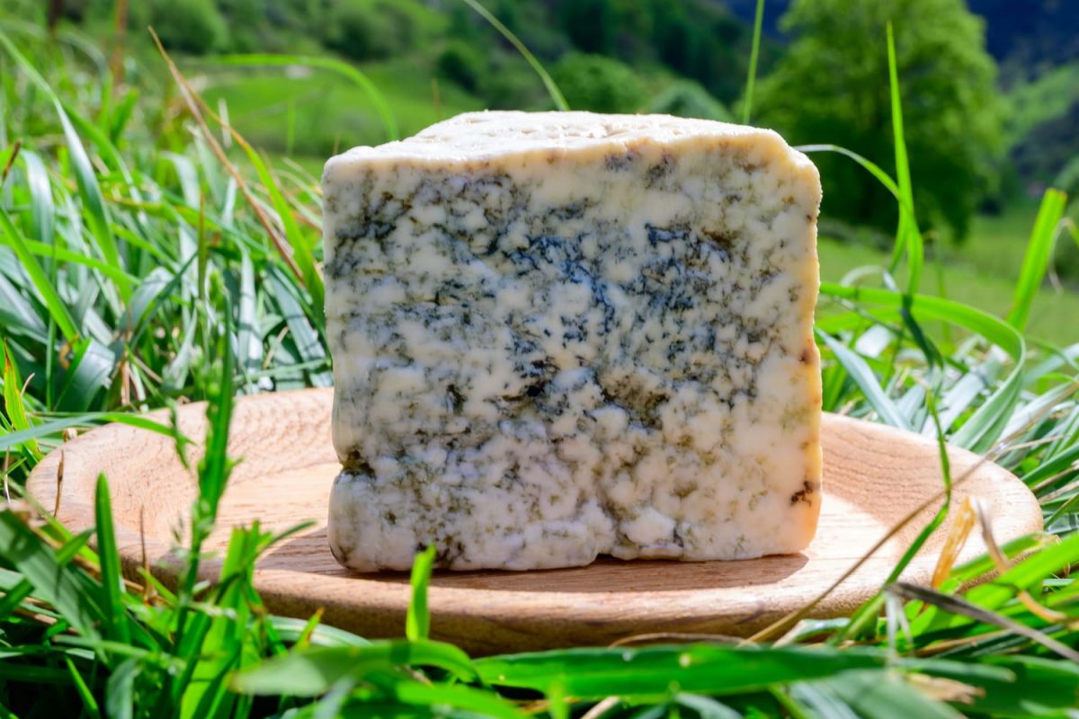 le fromage le plus précieux du monde : un record inattendu