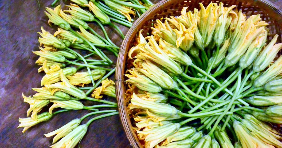 La fleur de courgette : délicatesse et saveurs estivales