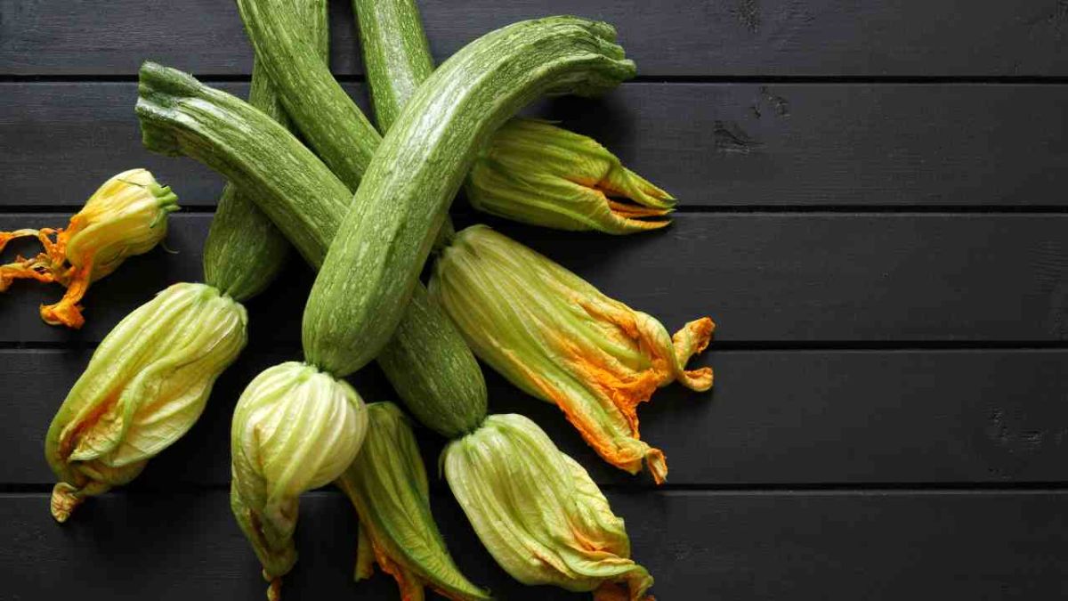 Une entrée légère : savourez la crème de courgettes en un rien de temps