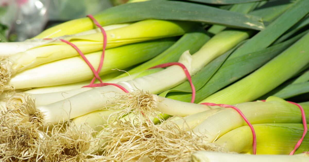 Cuisiner le poireau de la tête aux pieds : nos recettes zéro déchet
