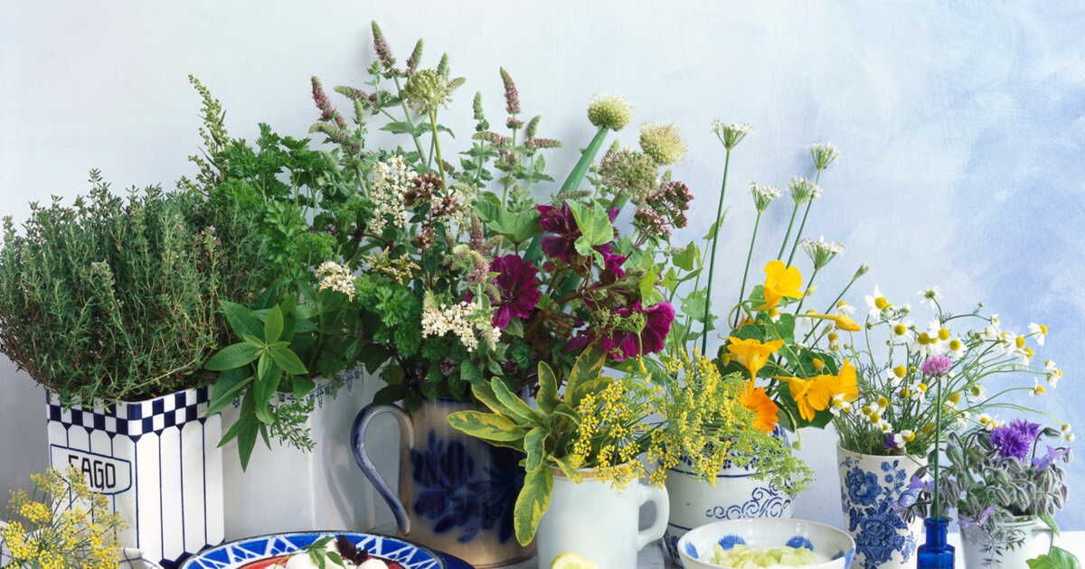 L'art de faire sécher ses herbes : conseils et astuces