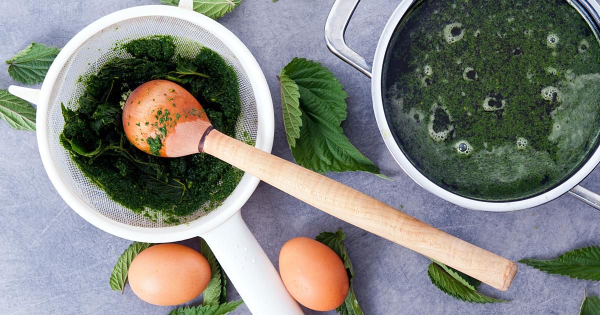 La soupe d'orties : alliée détox et anti-fatigue pour l'hiver