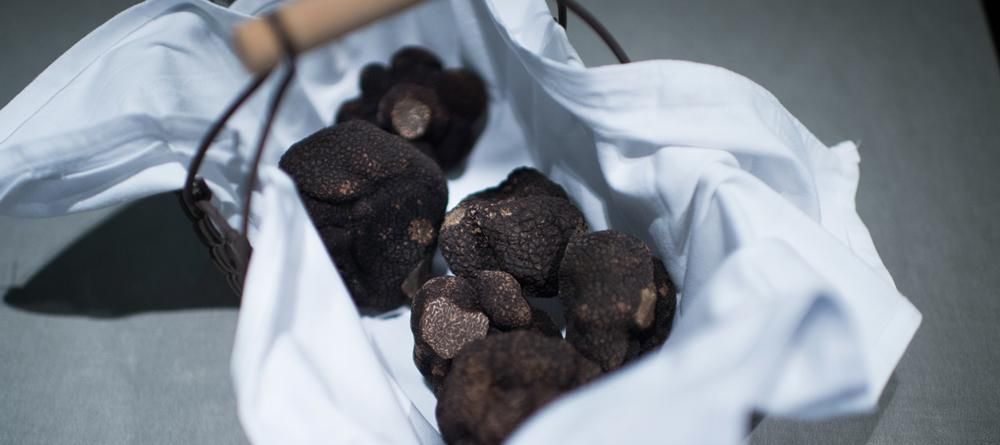 La truffe à portée de clic