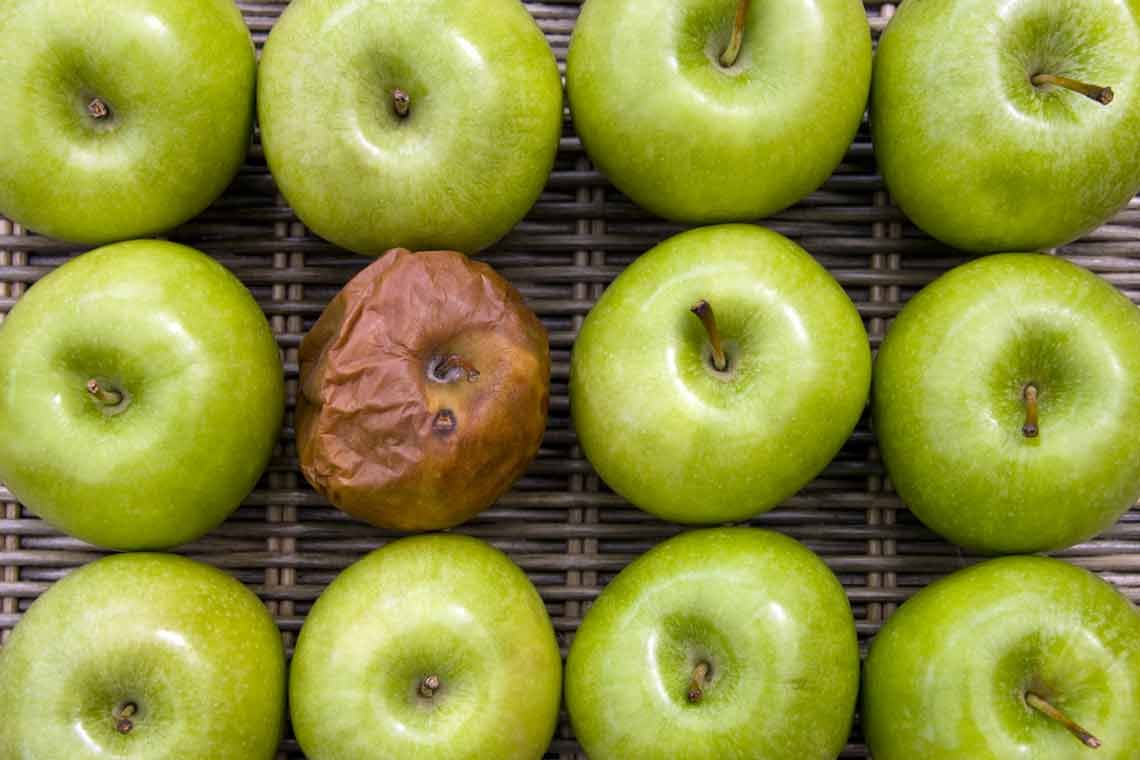 Cinq conseils astucieux pour prolonger la vie de vos fruits