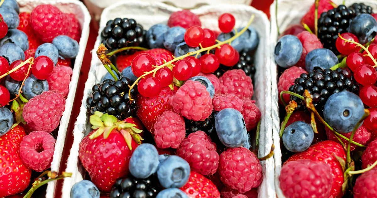 Les petites baies qui égayent notre été